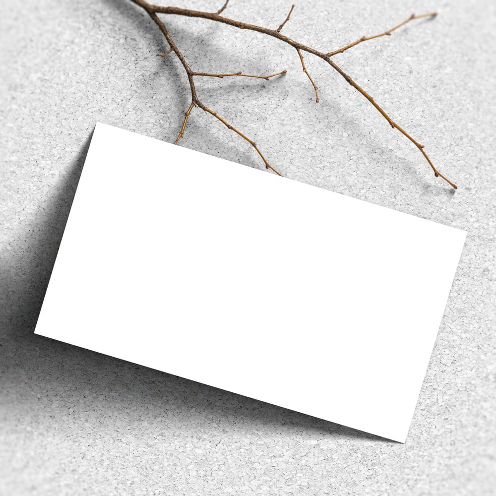 Blank Business Card on Concrete Texture Surface